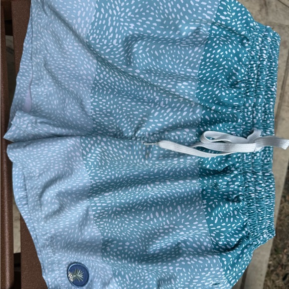 Chubbies Swim Trunks - Whale Shark 🐋🦈 - Picture 2 of 3